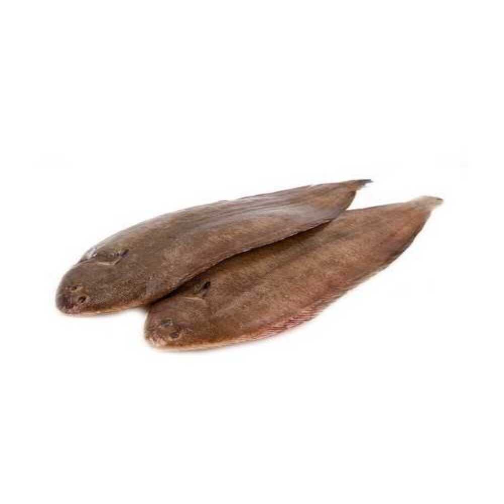 Poisson